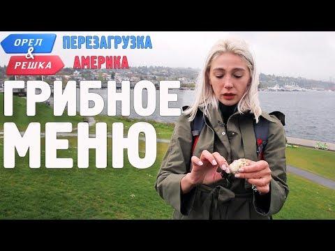 Достопримечастельность Сиэтла - шампиньоны! Орёл и Решка. Перезагрузка. АМЕРИКА