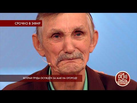 Пусть говорят. Ветеран труда осужден за мак на огороде. Самые драматичные моменты