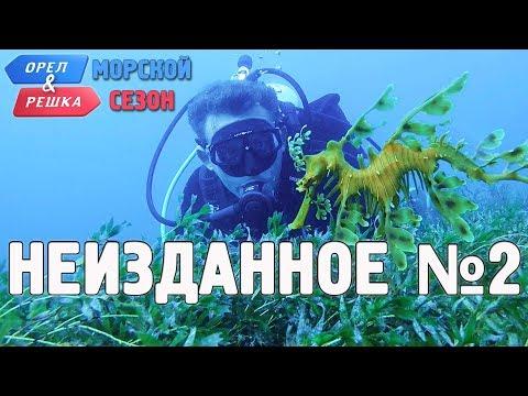 Орёл и Решка. Морской сезон/По морям - Неизданное №2