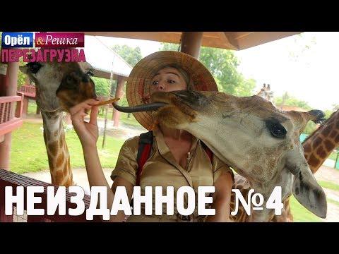 Орёл и Решка. Перезагрузка - Неизданное №4