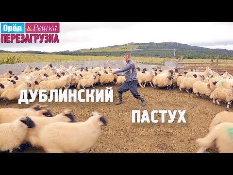 Ирландские приключения пастуха Антона! Орёл и Решка. Перезагрузка